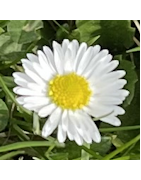 Termin buchen