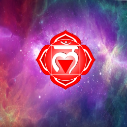 Wortelchakra (Muladhara)